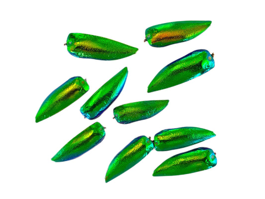Jewel Beetle Sternocera ruficornis Elytra Shield Real Insect Green Iridescent Metallic Jewelry Earring Necklace Making Supplies 10 Pack